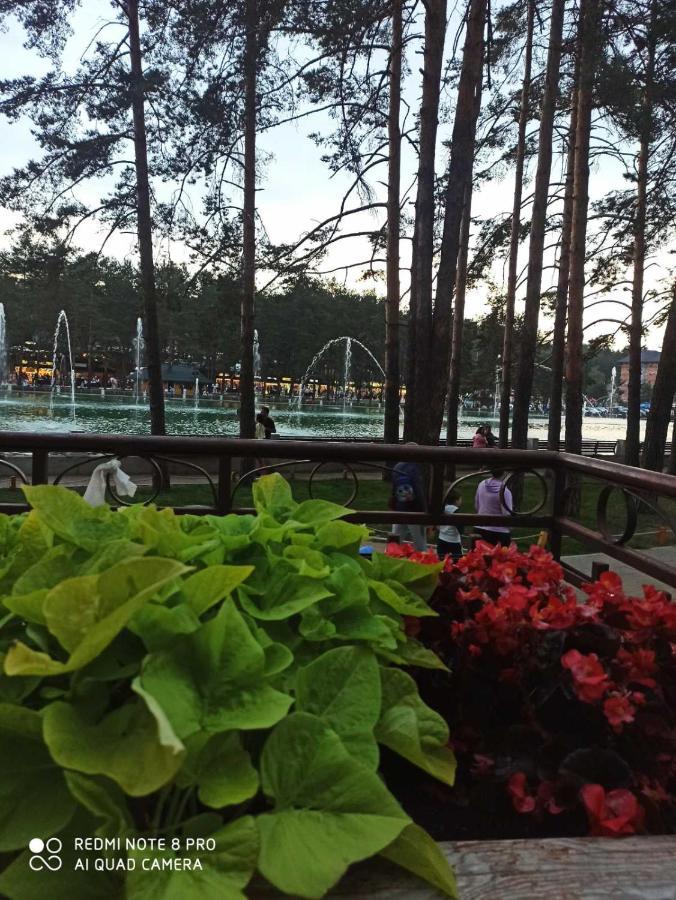Apartmani Sloboda Zlatibor Esterno foto
